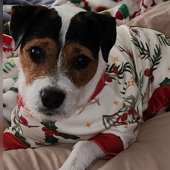 No Group This Weekend! See You Feb 6-8, 2026 to Share Again! 👒Sat Down South - Picture 5 of 15